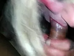 This retro amateur blue film showcases mature performers in an interracial setting.