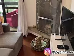 tour my new apartment and see where i film videos