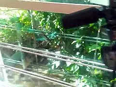 Nos Labirintos da Lejardin, Lady Milf Joins Fan Orgy with Erotika XXX Crew