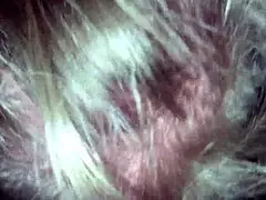 Jenna jaymes gags on big cock for me.