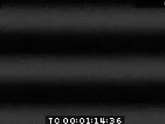 This milf in latex pants and barefoot looks hot in the sex tape