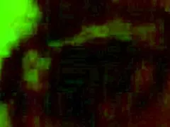 amateur wife in pov close-up session