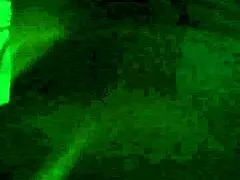 does coroa leila fuck doggy style?