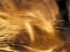 I love sucking that mature milf's step cock.