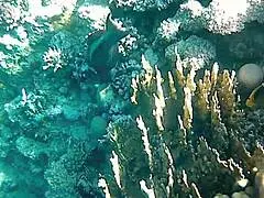 Naughty Milf Mariaold Flashing Huge Natural Boobs and Pussy