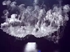 angel lima takes tony tigrao to the beach