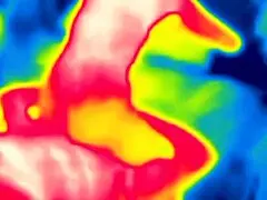 fucking with thermal in a wild outdoor session