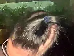 Deusa Sucks Hard Cock And Delights With Balls