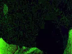 My favorite position for pussy licking