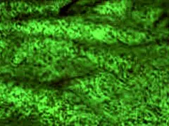 Redhot fox babe rides rough, giving blowjobs and cowgirl with big tits