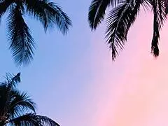 Slutty babe with big black hair and huge breasts earns a facial after banging