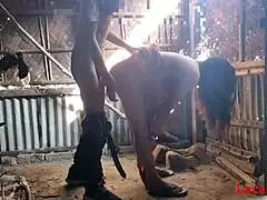 Red saree wife, wanna give an outdoor blowjob now?