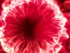 คืนนางแบบนวดนมเล็ก 18+