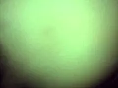 Is This The Best Blowjob Ever?