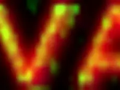 i watch my brazilian hotwife bruna silva in blowbang humiliation