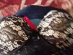 Premiéra bielizne, ktorú mi dala teta na anál s veľkými kozami 😏