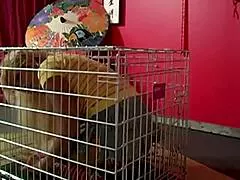 내가 스콧 로즈 지배하며 맥신 X 내 큰가슴 빨게 해