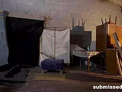 Pet for lonely housewife needed