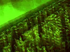 In Lust for Darkness, we explore mature orgies and bondage gameplay.