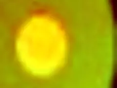 charming milf in anime adventure with little 18+