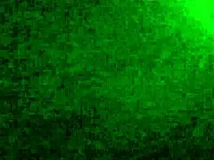 i lick that ebony pussy so good