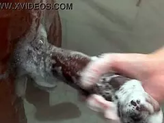 big latina step sister toys with brother's monster bbc at home