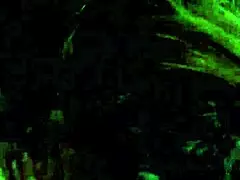 hot chubby milf calista roxxx stars in an intimate scene with natural curves