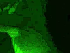 FEEL THE PHONE MASTURBATION AS SHE BLOWS AND FINGERS! AMATEUR MATURE CHUBBY HOMEMADE BJ SESSION