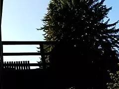 Intense Strait Jacket Facefuck Preview