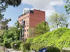 michi the peruvian teen with big tits gets caught by torbe and sucks his cock.