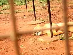Two tourists meet in the park for new adventures