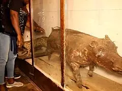 Two tourists meet in the park for new adventures