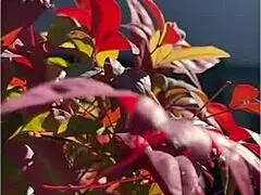 oh man, i’m obsessed with devouring rena kanazuki’s wild desires