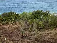 En viaje a Chipre mamada al aire libre de petite 18+ en plena naturaleza