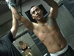 Wow, fucking in an MMA ring with big black cocks!