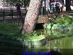 I shoved my big cock into her ass on the balcony