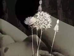 Hey, ever explored the wild world of vintage porn with a hairy MILF like this?