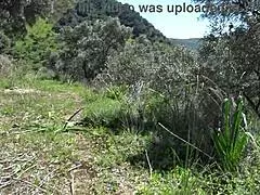 Kiimainen milf pissailee karvaisesta pillusta säikyttäen salakatselijan