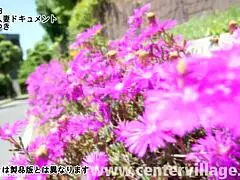 watch miyuki honda get bent over for her first cheating doggystyle fuck?