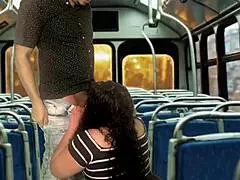 Public Bus Action: Can We Repeat This Wild Ride Again Soon?