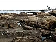 Beach Walk Turns Into Cock Insertion For Busty Brunette?