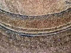 milf adora oral com lingua quente no grelao maravilhoso