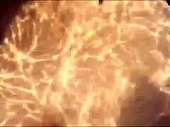 milf enjoys tight fuck in the water