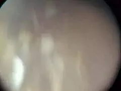 a mi vecina le gusta que le vea los calzones