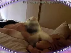 dry ass penis cardi b wap parody with wet pussy