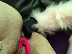 Chubby Fox Enjoys Double Penetration Solo Session