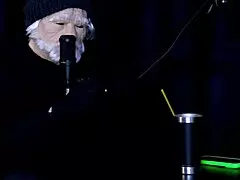 Tifany Rocha Wants To Record Exhibitionist Adventures With Andressa Urach