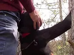 Check out this MILF compilation with bondage and facefucking 😈