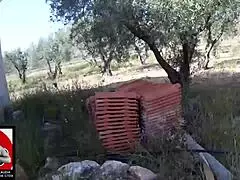 follada veraniega en el pueblo en publico bisexual milf bbw big cock masturbation