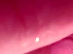 Amateur wife shows pink shaved pussy close up 172 days after losing virginity